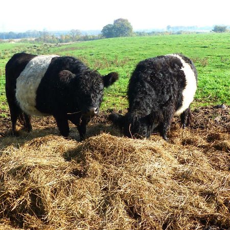 Kristiansminde Farm Holiday Tistrup Bagian luar foto