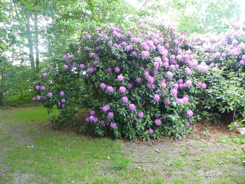 Kristiansminde Farm Holiday Tistrup Bagian luar foto