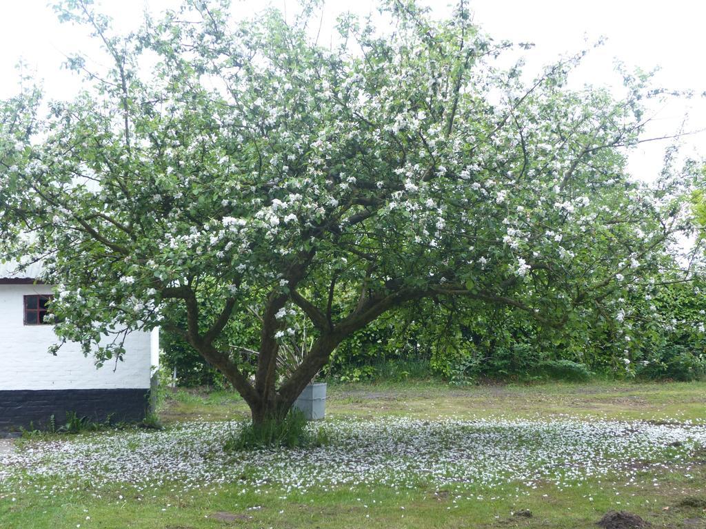 Kristiansminde Farm Holiday Tistrup Bagian luar foto