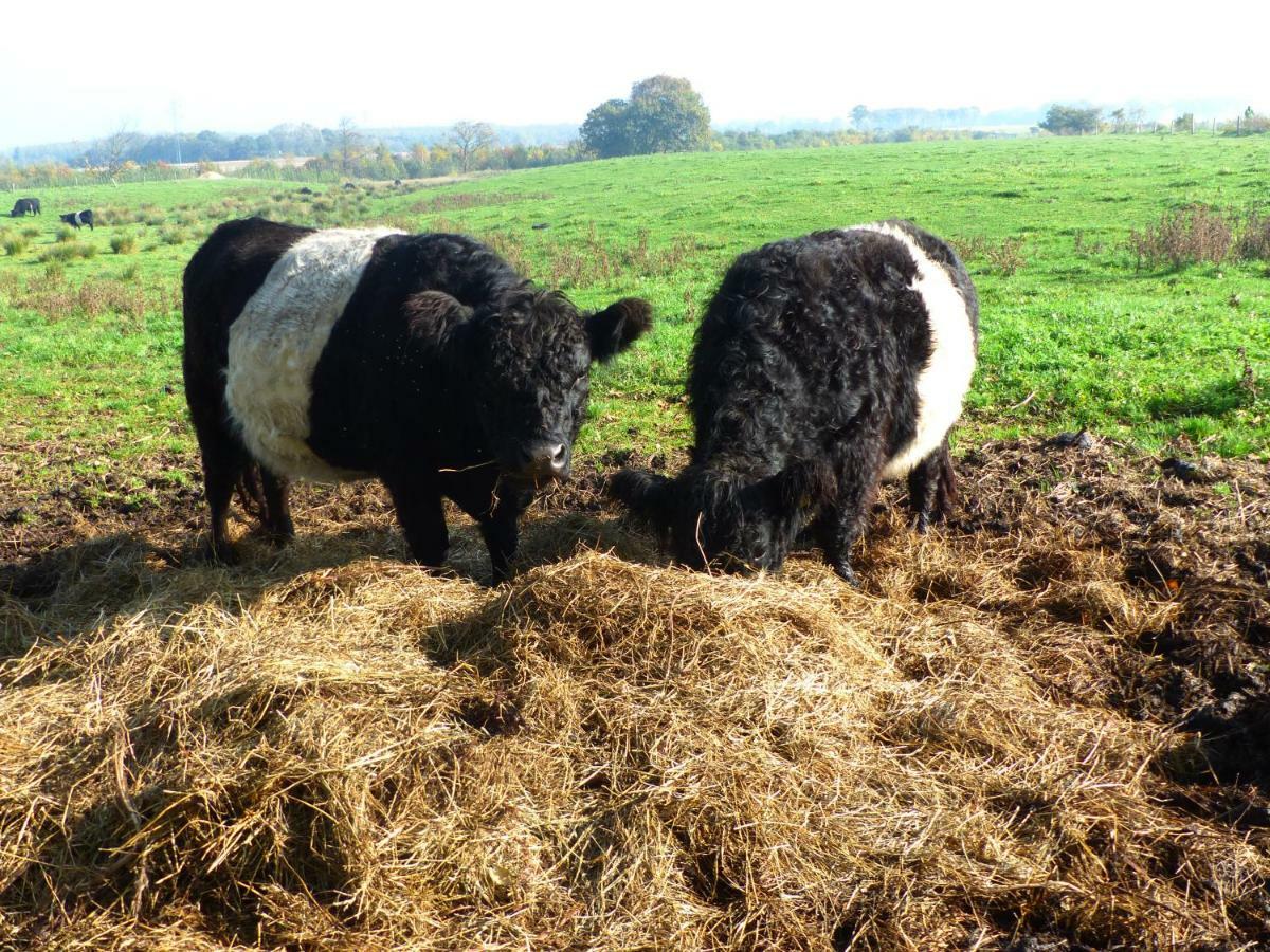 Kristiansminde Farm Holiday Tistrup Bagian luar foto